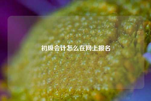 初级会计怎么在网上报名