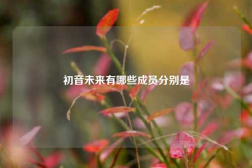 初音未来有哪些成员分别是