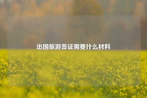 出国旅游签证需要什么材料