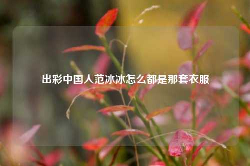 出彩中国人范冰冰怎么都是那套衣服