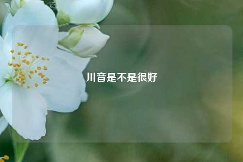 川音是不是很好