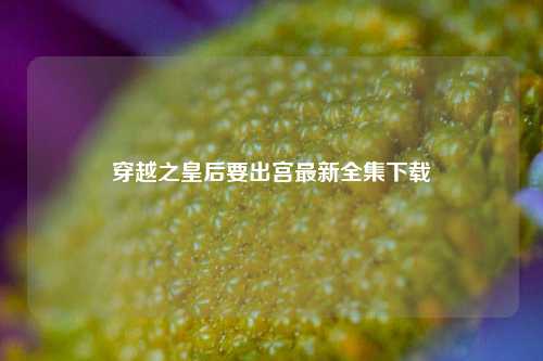 穿越之皇后要出宫最新全集下载