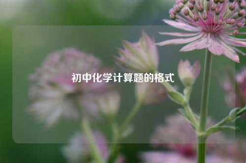 初中化学计算题的格式