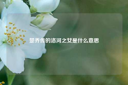 楚乔传的洛河之女是什么意思