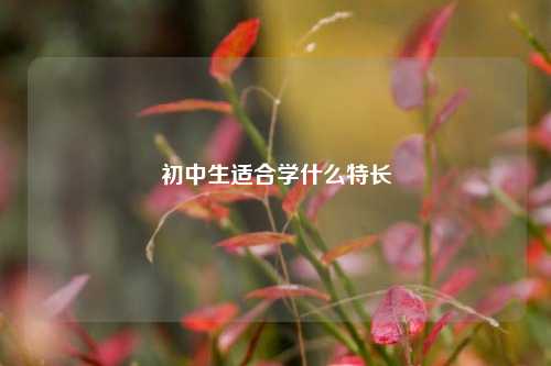 初中生适合学什么特长