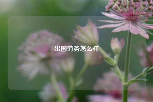 出国劳务怎么样