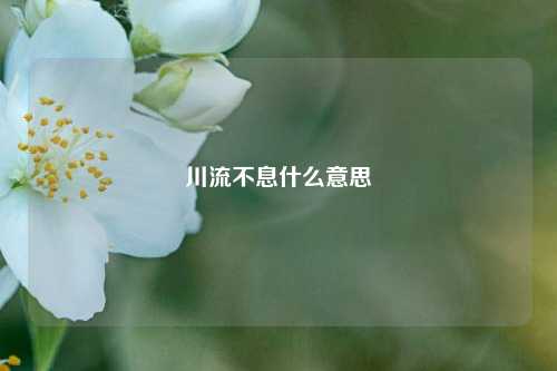 川流不息什么意思