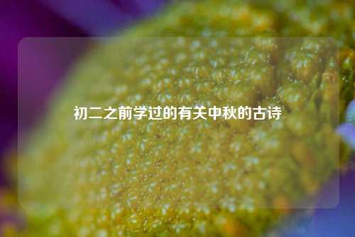初二之前学过的有关中秋的古诗