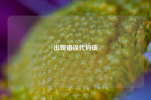 出现错误代码该