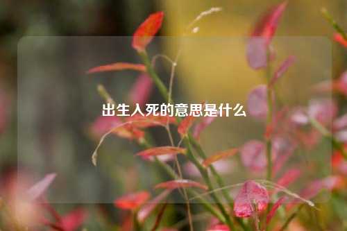 出生入死的意思是什么