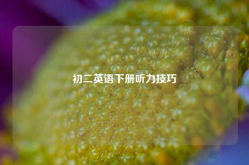 初二英语下册听力技巧