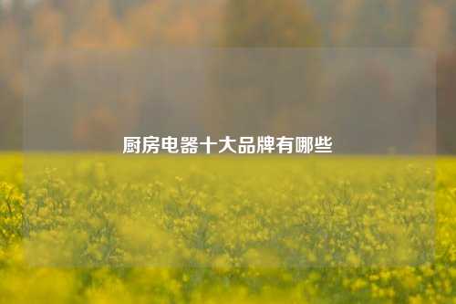 厨房电器十大品牌有哪些