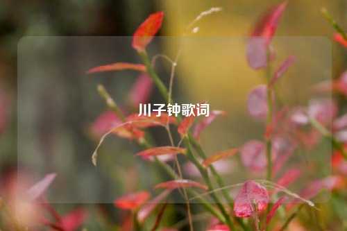 川子钟歌词